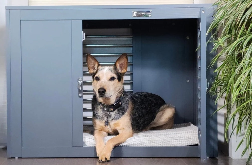 How to Train Your Dog to Love Their Crate