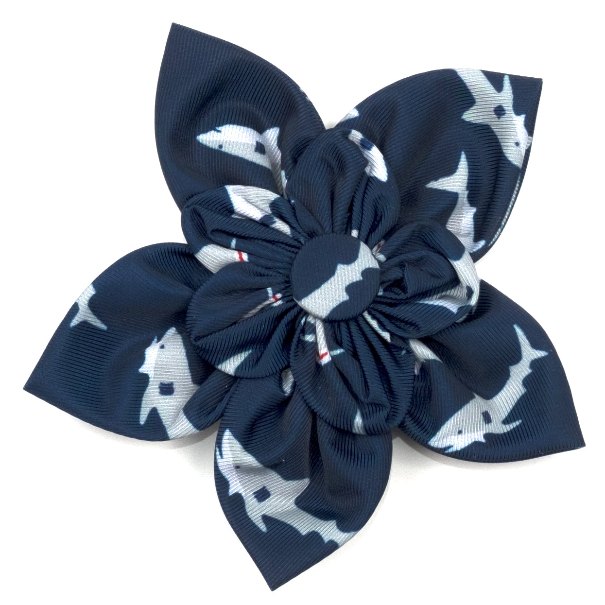 Collar Flower | Jaws