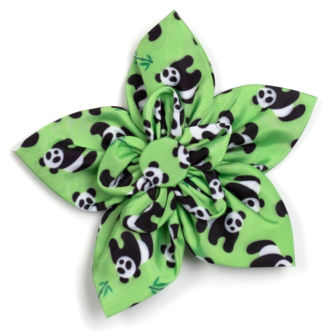 Collar Flower | Pandas