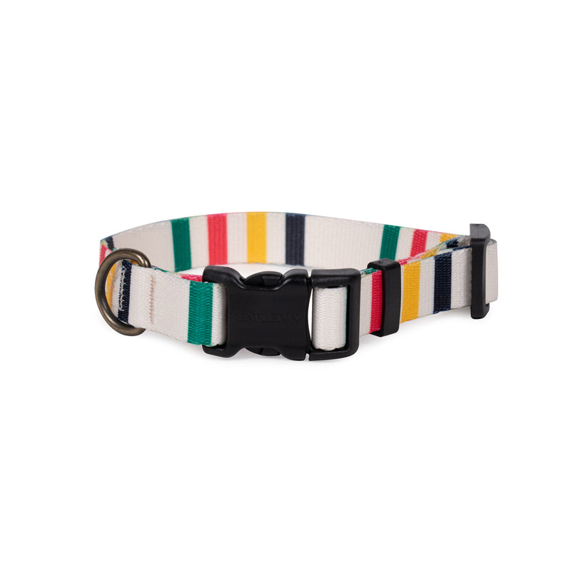 Pendleton National Park Adventure Collar in Glacier dog collar