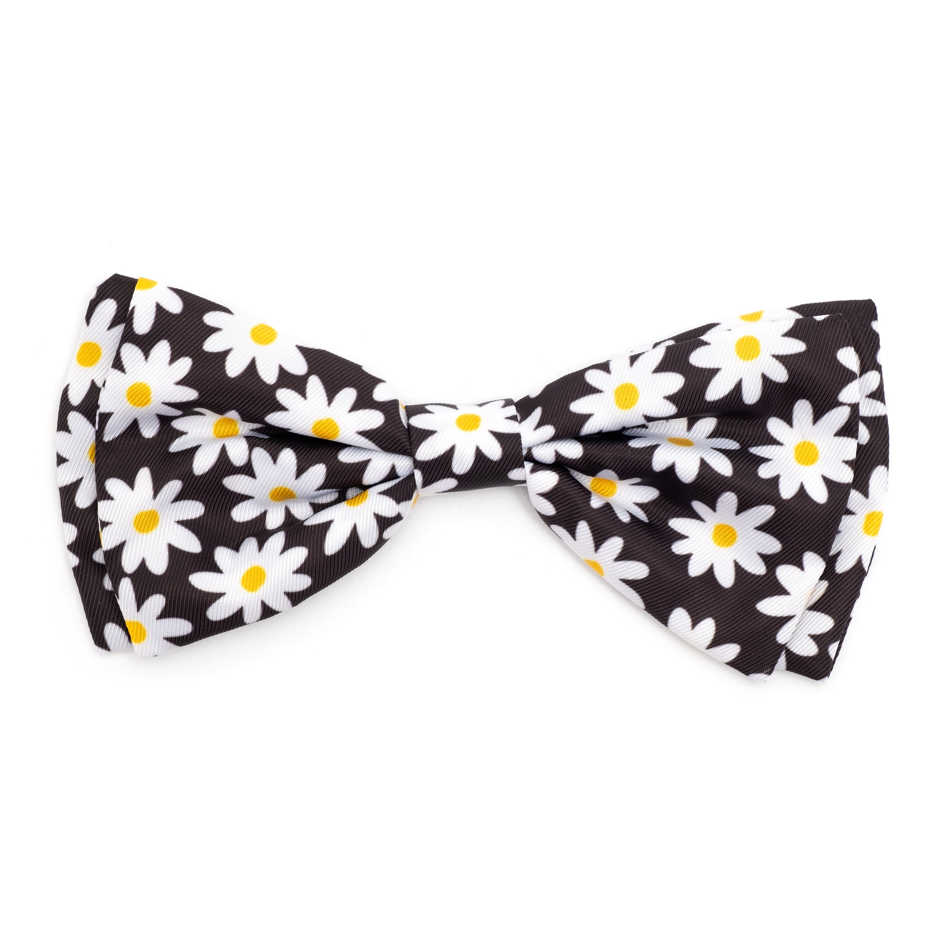 Bow Tie | Lazy Daisy