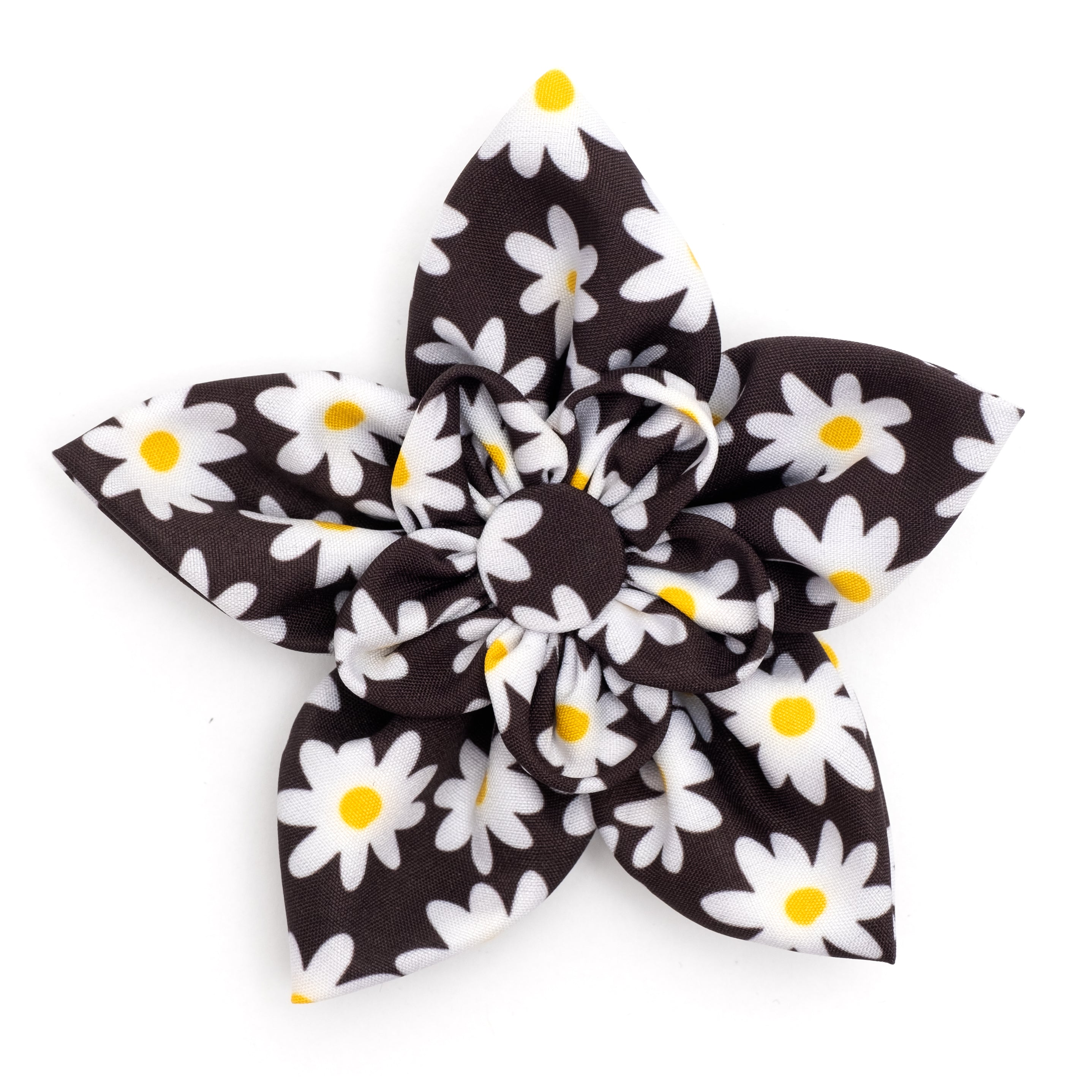 Collar Flower | Lazy Daisy