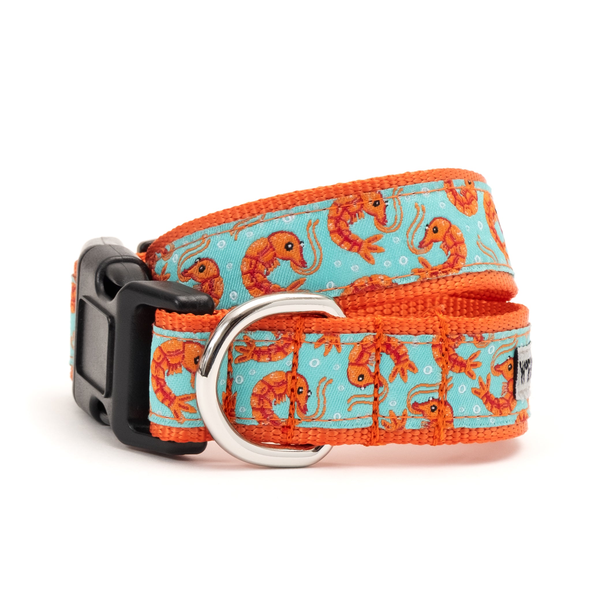 Collar | Shrimp