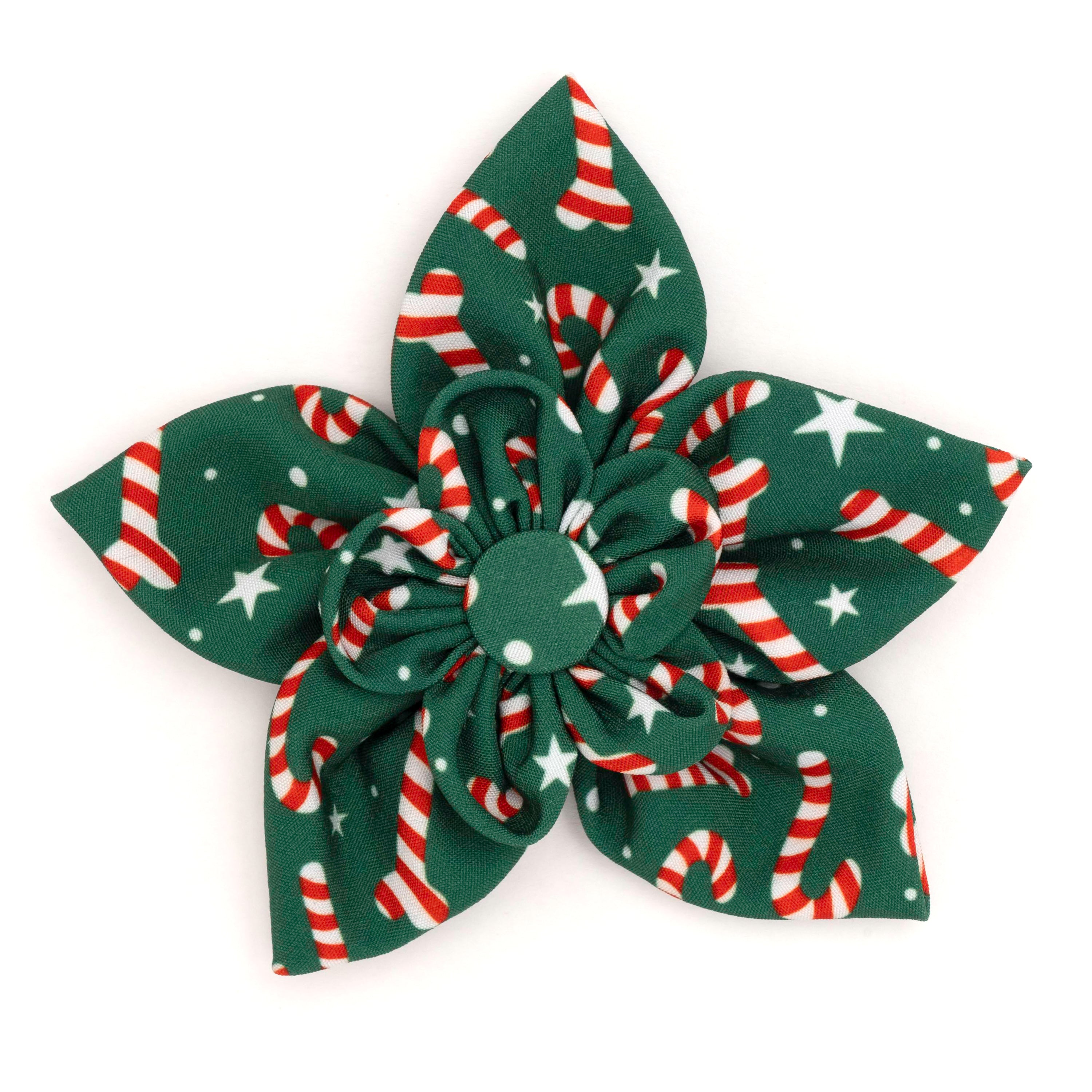 Collar Flower | Candy Cane