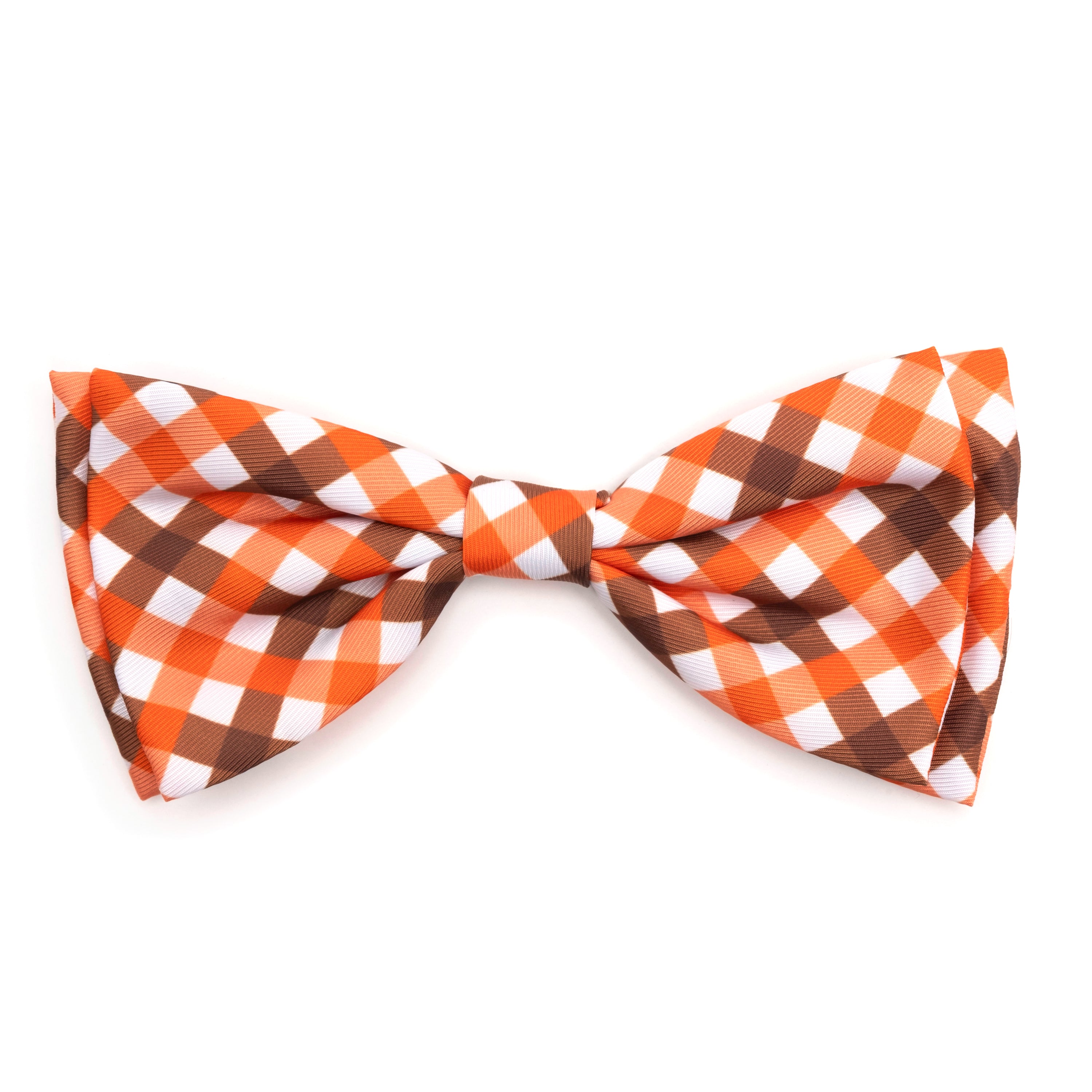 Bow Tie | Fall Check