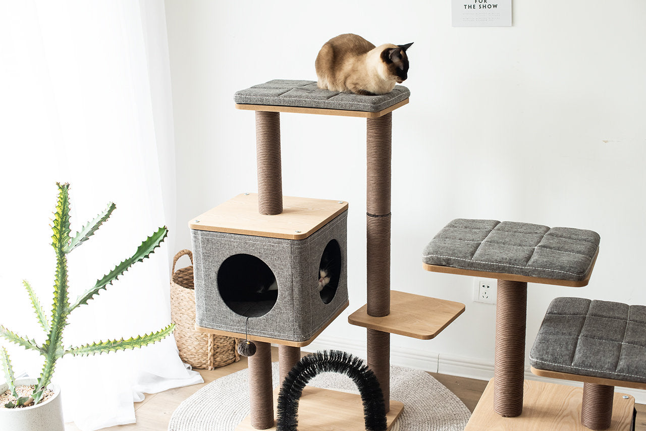 CAT-ACTIVITY-TREE-ELEVATE