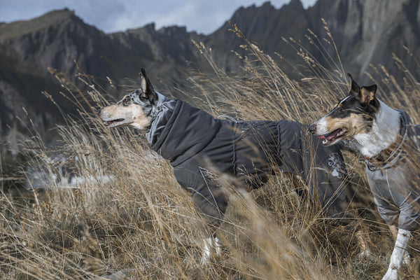 extreme-weather-overall-dog-coat