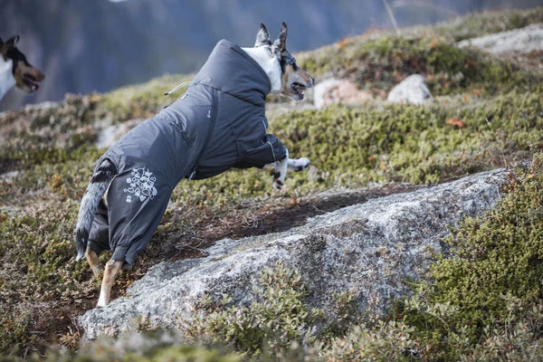 extreme-weather-overall-dog-coat