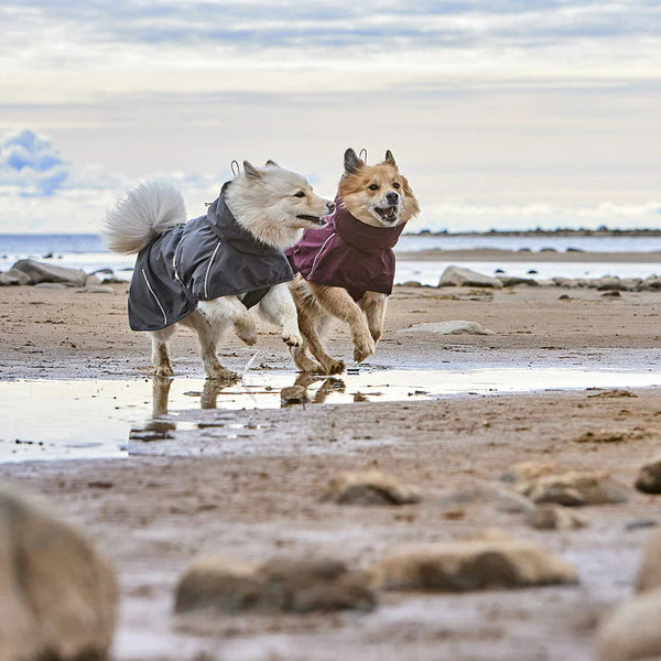 mudventure-extreme-weather-dog-raincoat