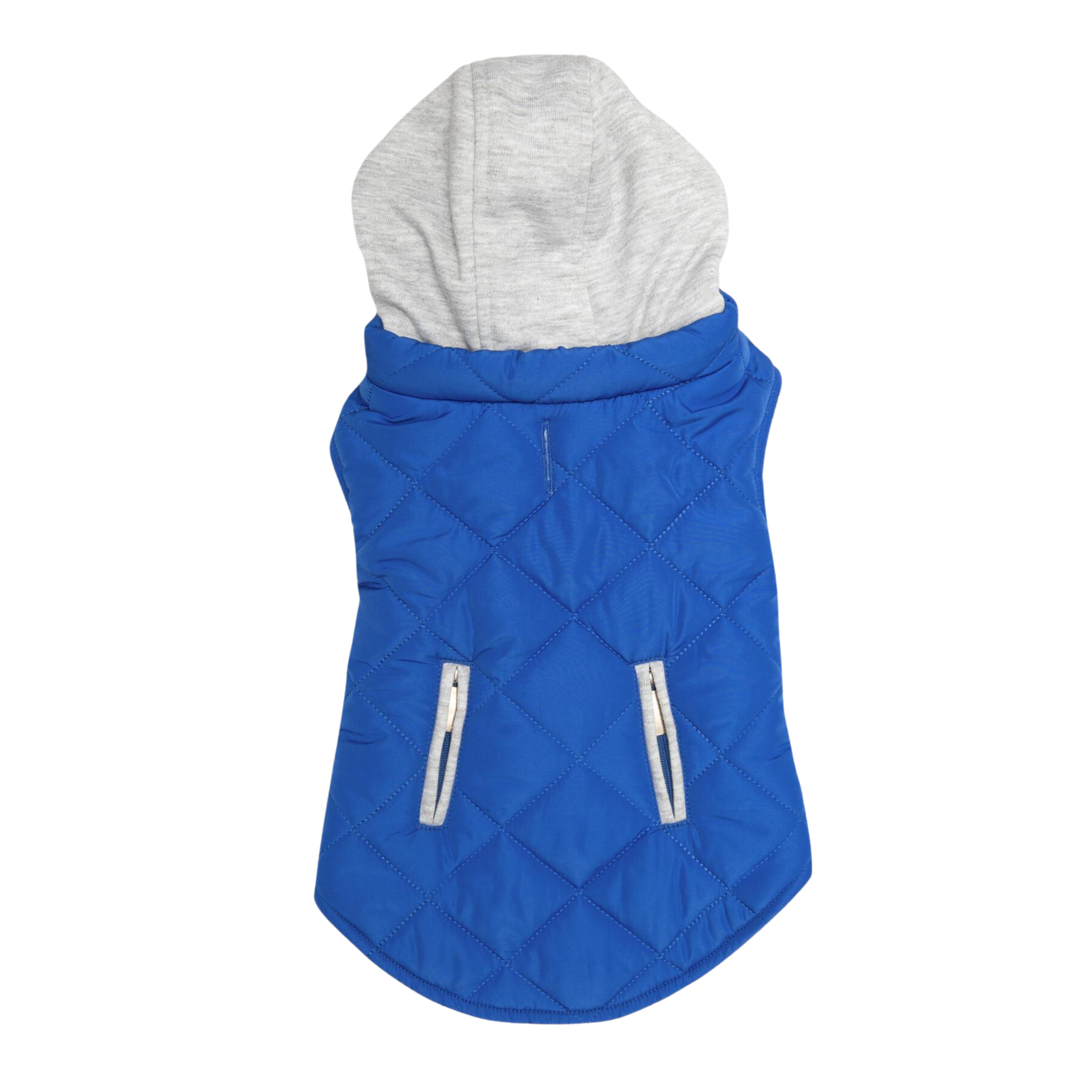 Blue quilted dog coat with gray hood on a white background