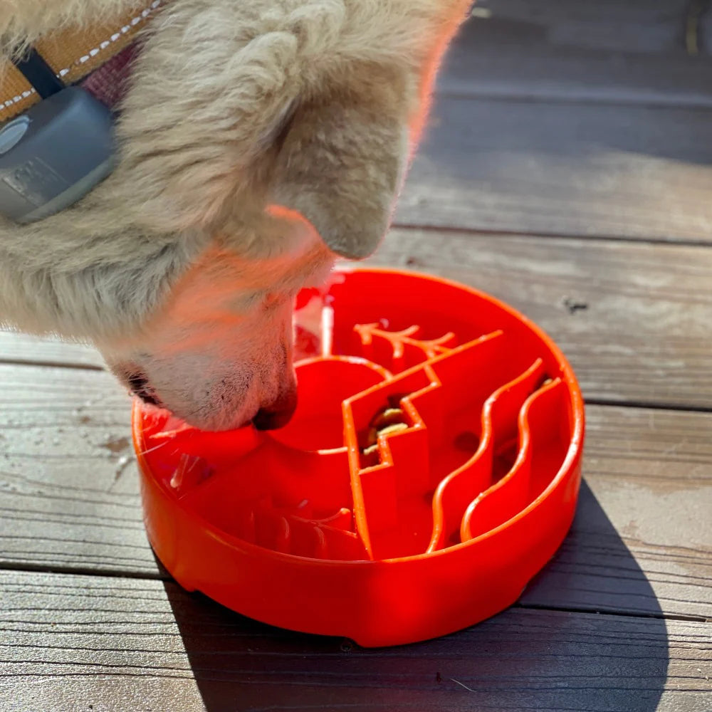 Slow Feeder Bowl | Great Outdoors Orange