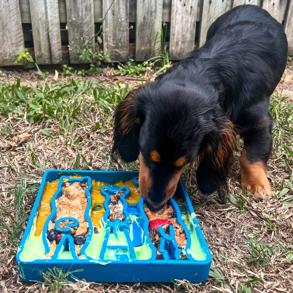 SNACKING-TRAY-WAITING-DOGS