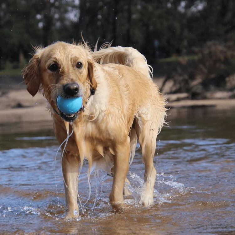 SODAPUP WAG BALL CHEW TOY BLUE