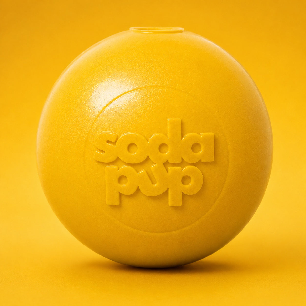 Chew Resistant Toy | Rubber Squeak Ball