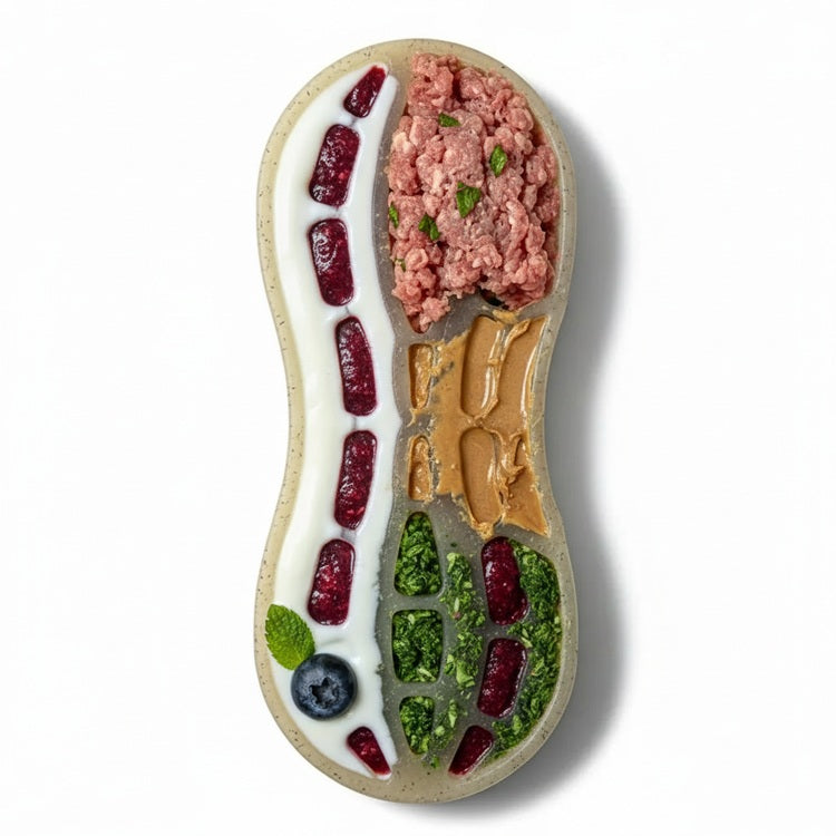 Chew Resistant Toy | Nylon Peanut