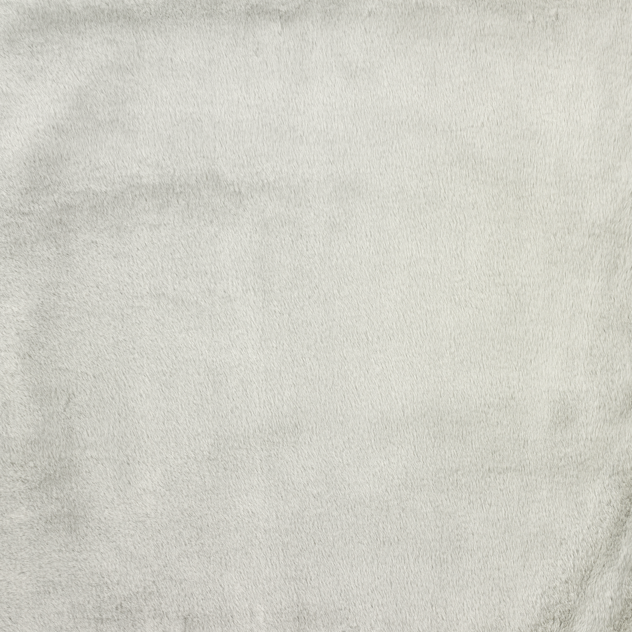 Solid light gray color swatch