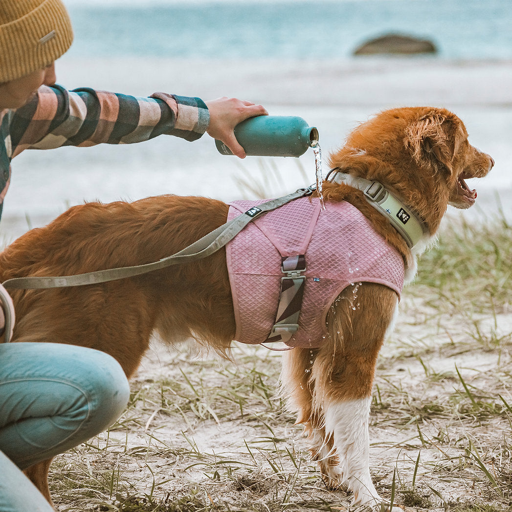 cooling-wrap-dog-summer-vest