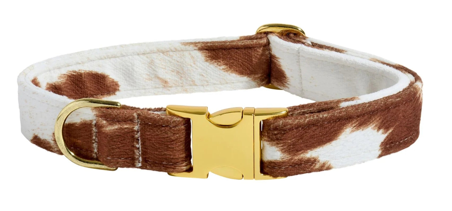 Brown and white cowhide leather dog collar with gold buckle on a white background