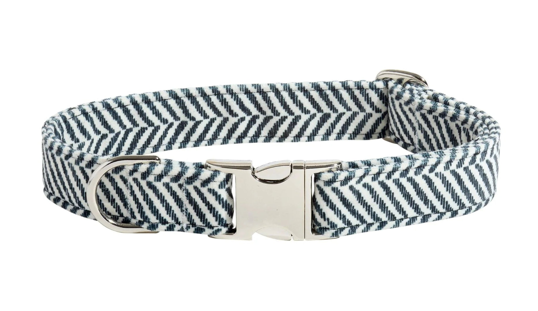 Black and white striped dog collar with a silver buckle on a white background