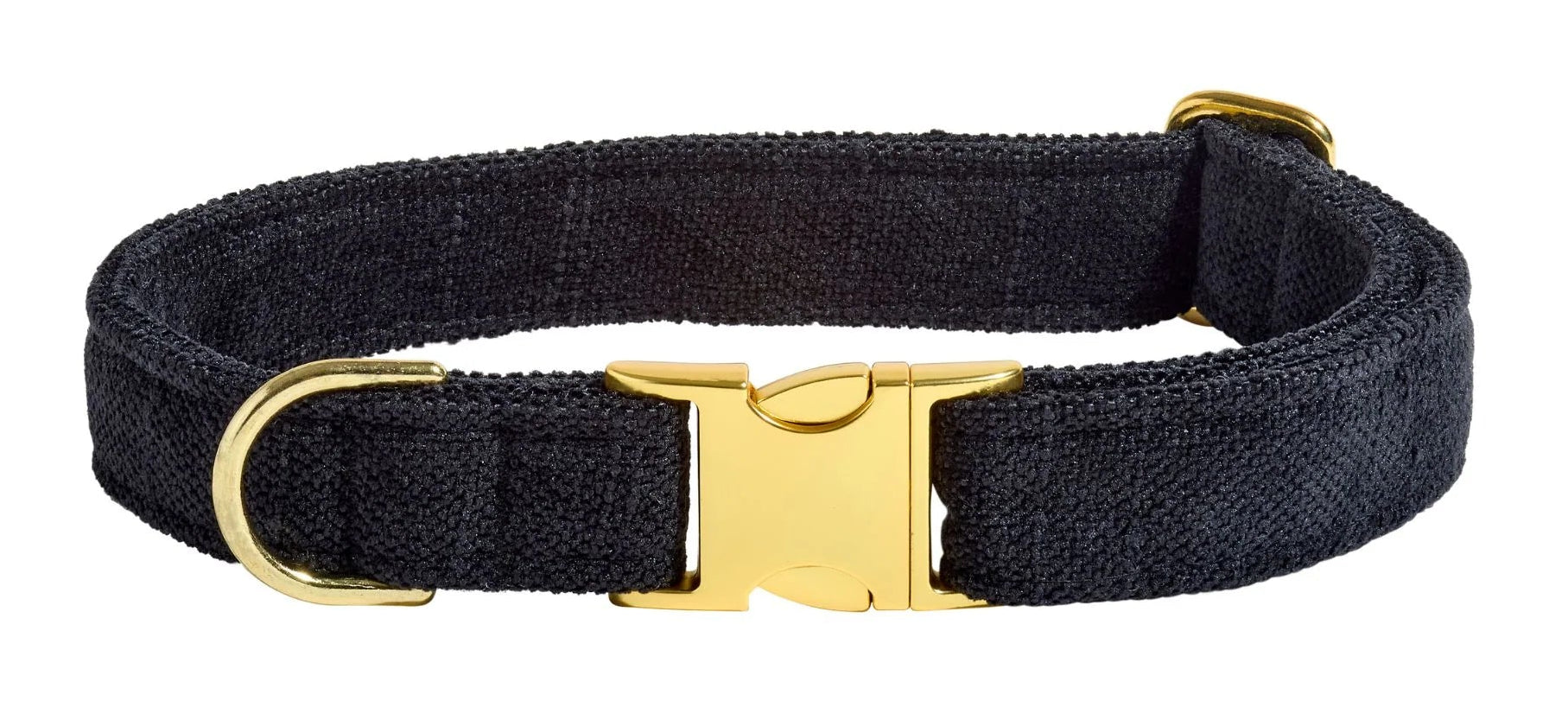 Black dog collar with a gold buckle on a white background