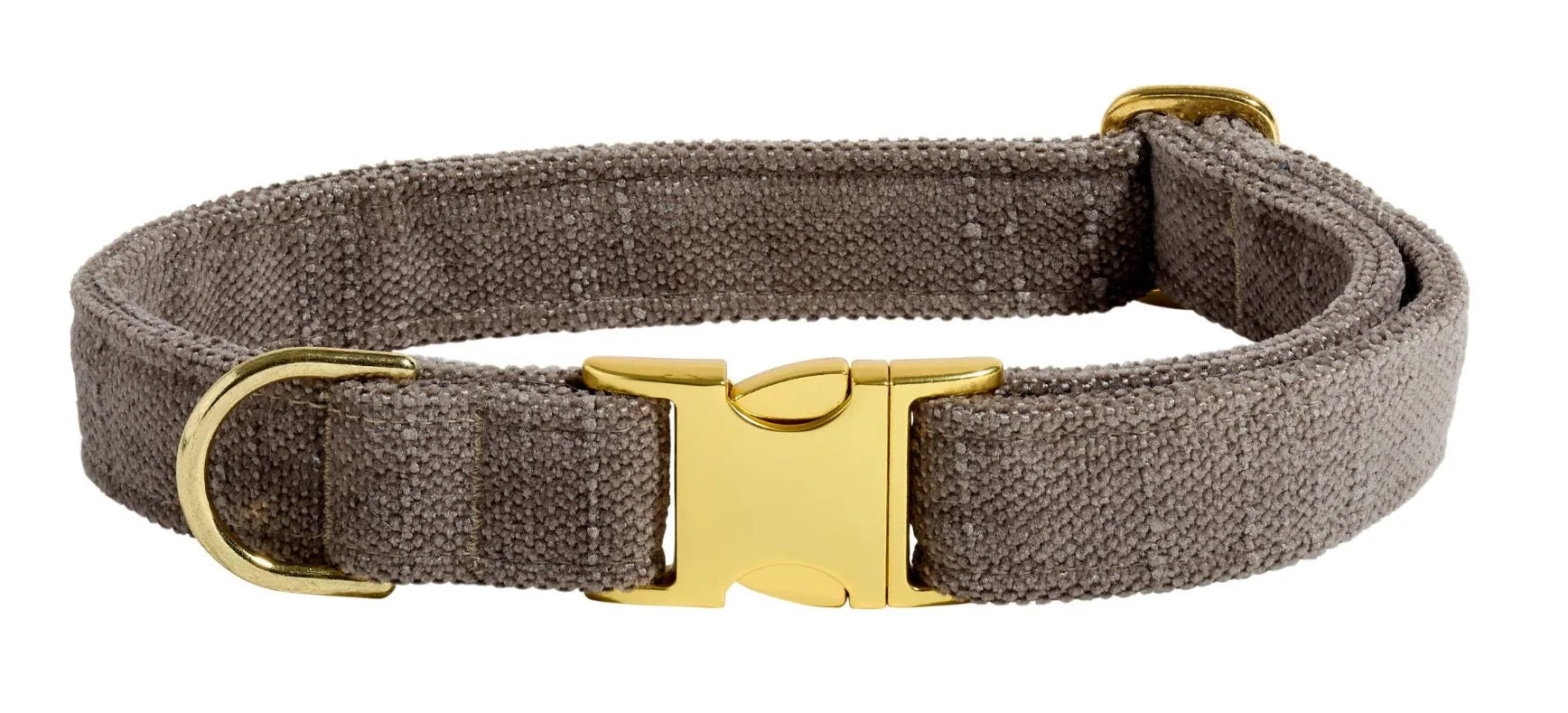 Dog collar with gold buckle on a white background