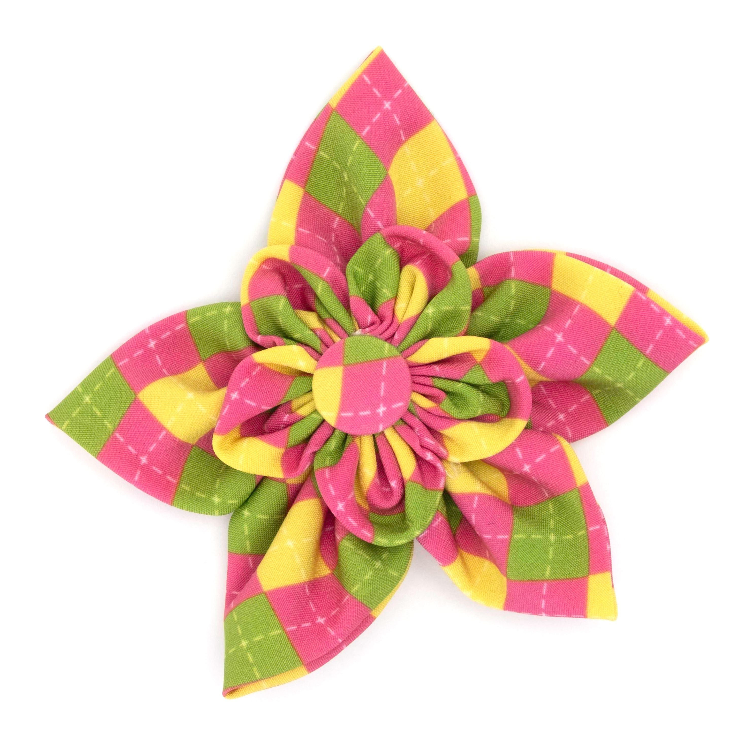dog-collar-flower-bright-pink-green-argyle