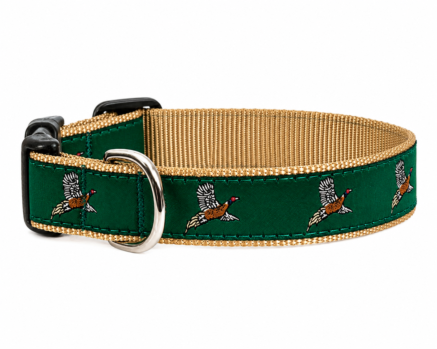 Dog Collars