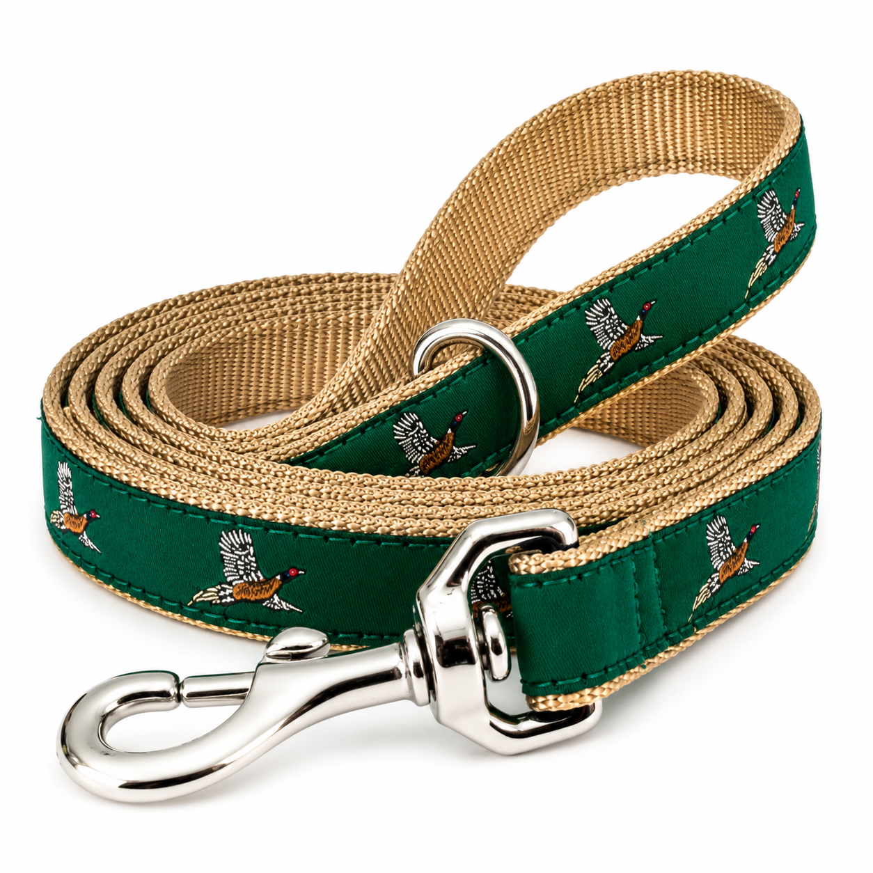 Dog Leashes