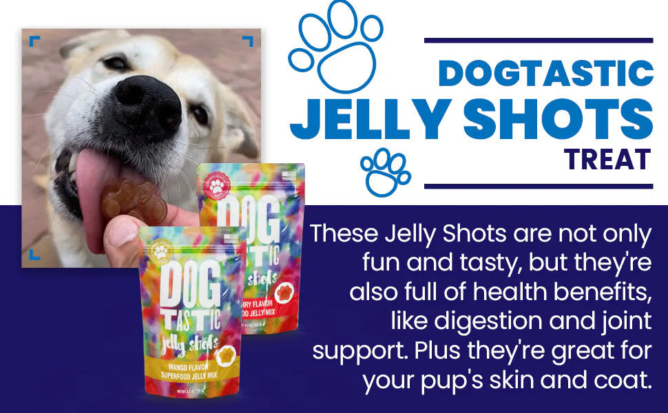 dog-treats-jelly-shots-cranberry