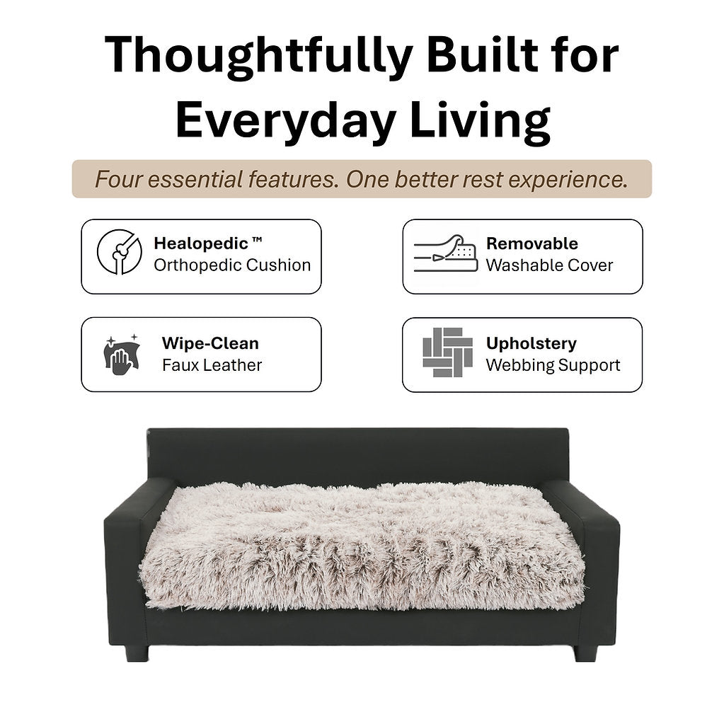 Sofa Bed | Dream Haven