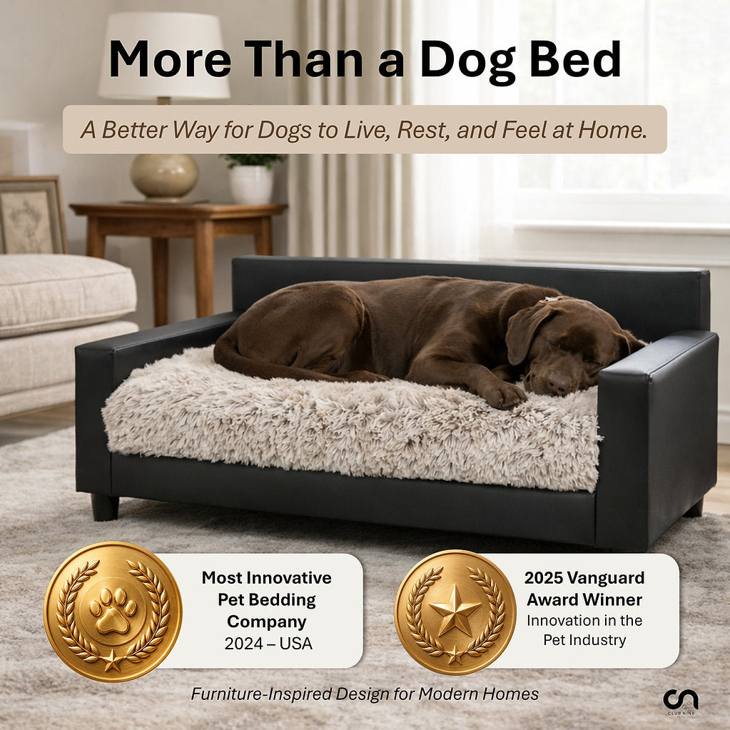 Sofa Bed | Dream Haven