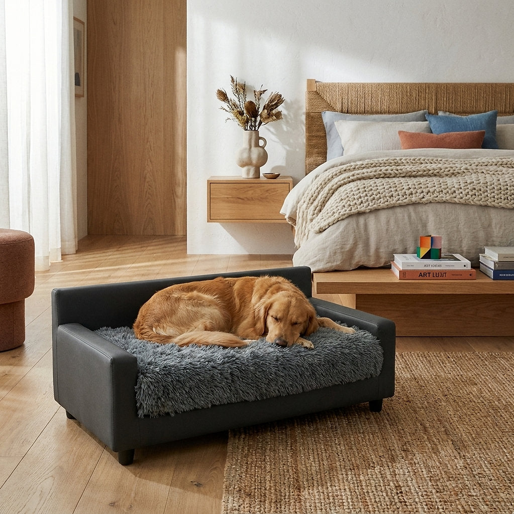 Sofa Bed | Dream Haven