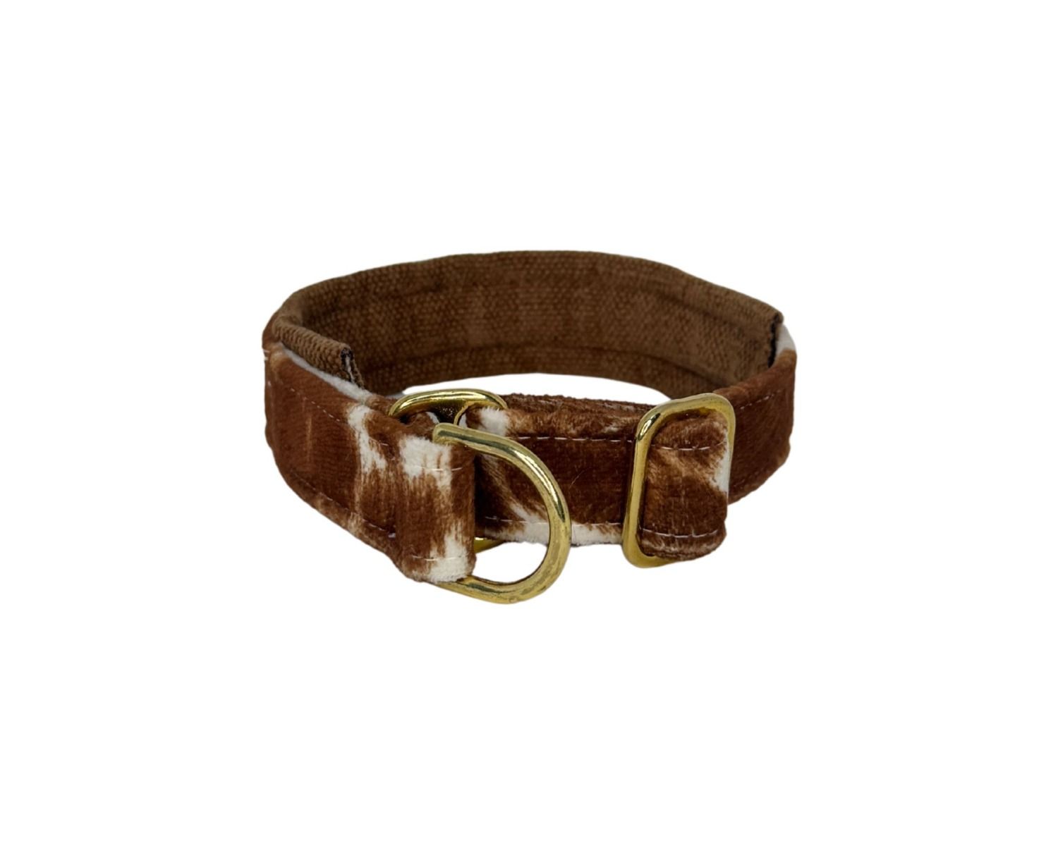 Brown cowhide leather collar with brass buckle on a white background