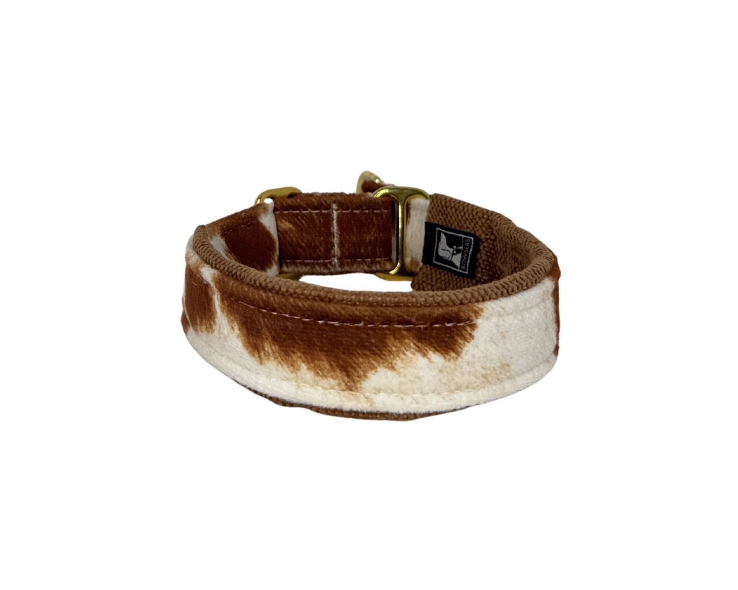 Brown and white cowhide collar with brass buckle on a white background
