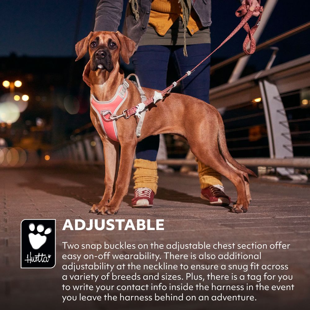 eco-venture-no-pull-dog-harness-coral