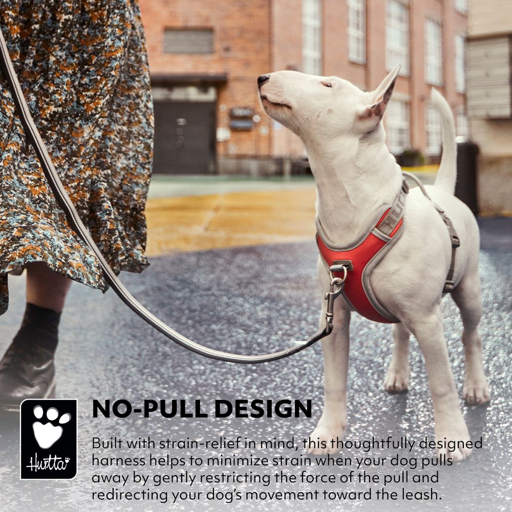 eco-venture-no-pull-dog-harness-coral