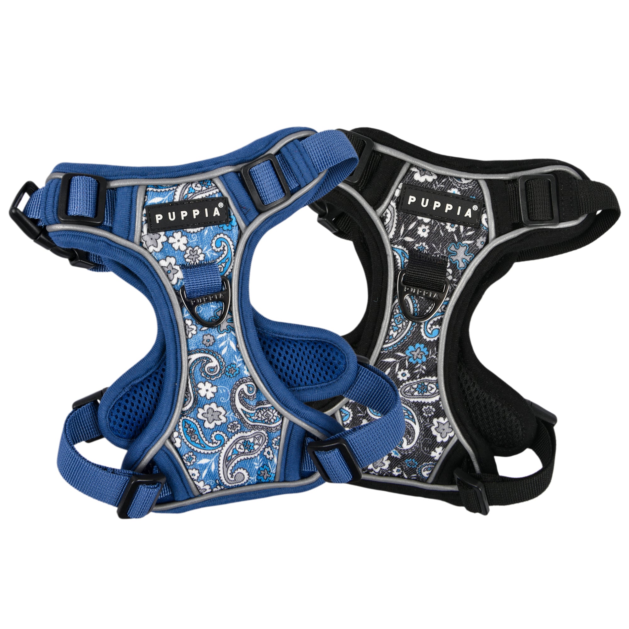 front-hook-dog-harness-cynthia-black