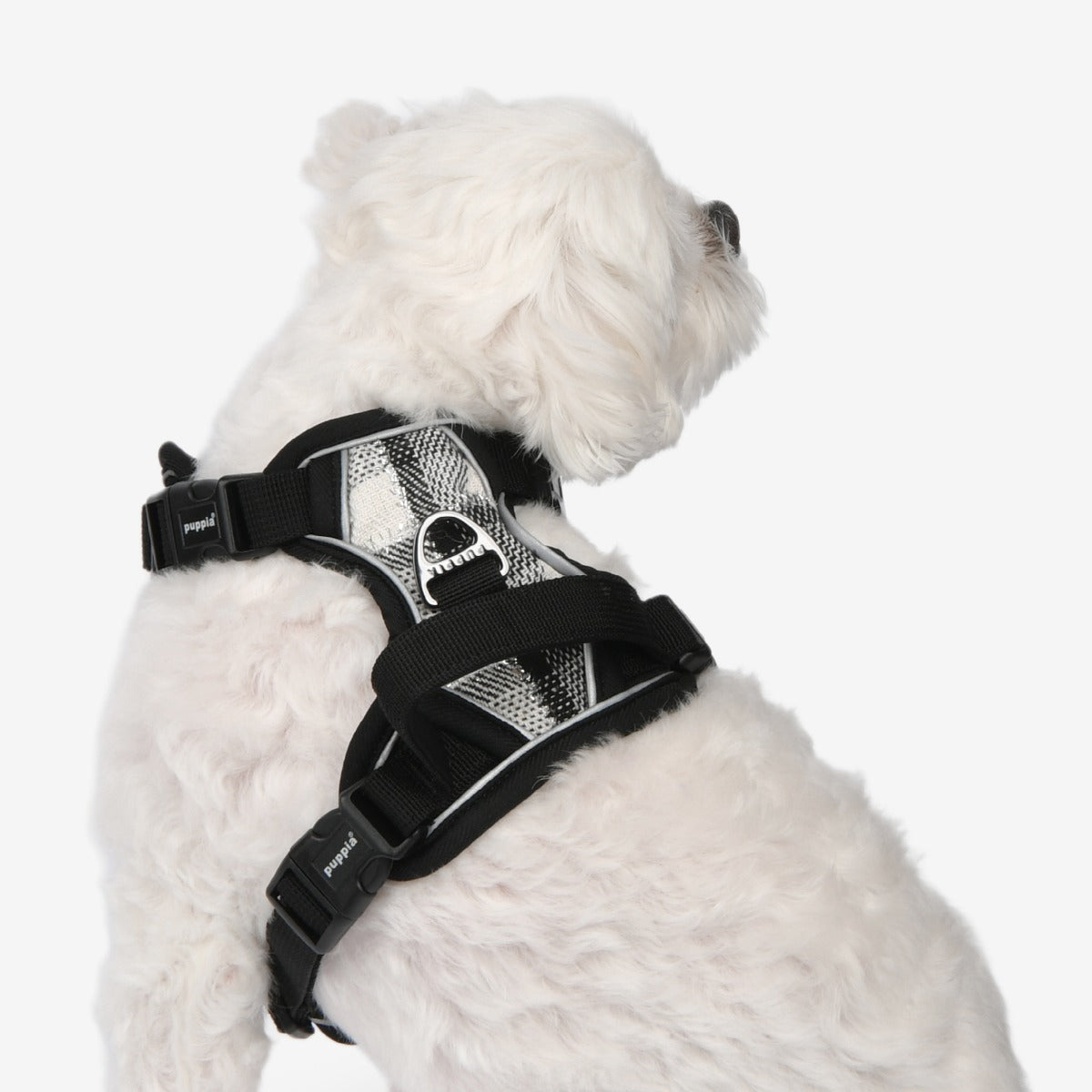front-hook-dog-harness-garrett-black-plaid-check