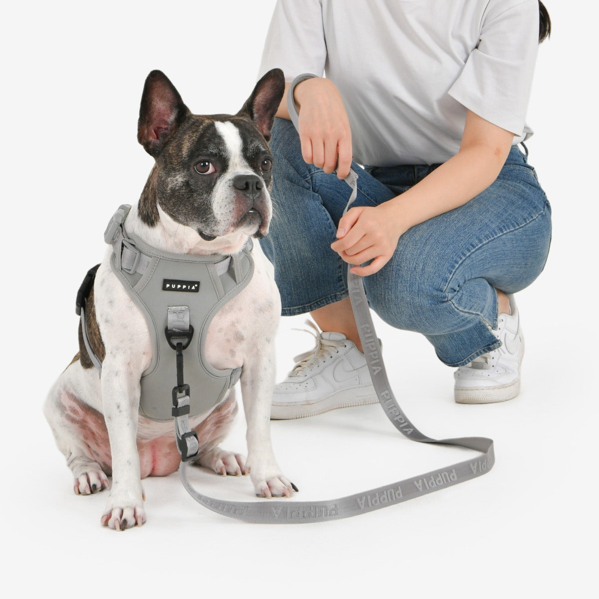 front-hook-dog-harness-jarek-gray