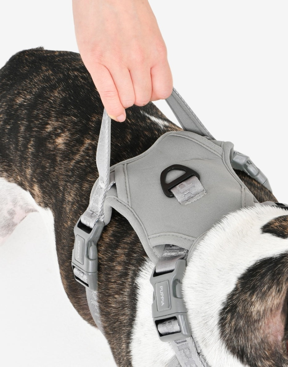 front-hook-dog-harness-jarek-gray
