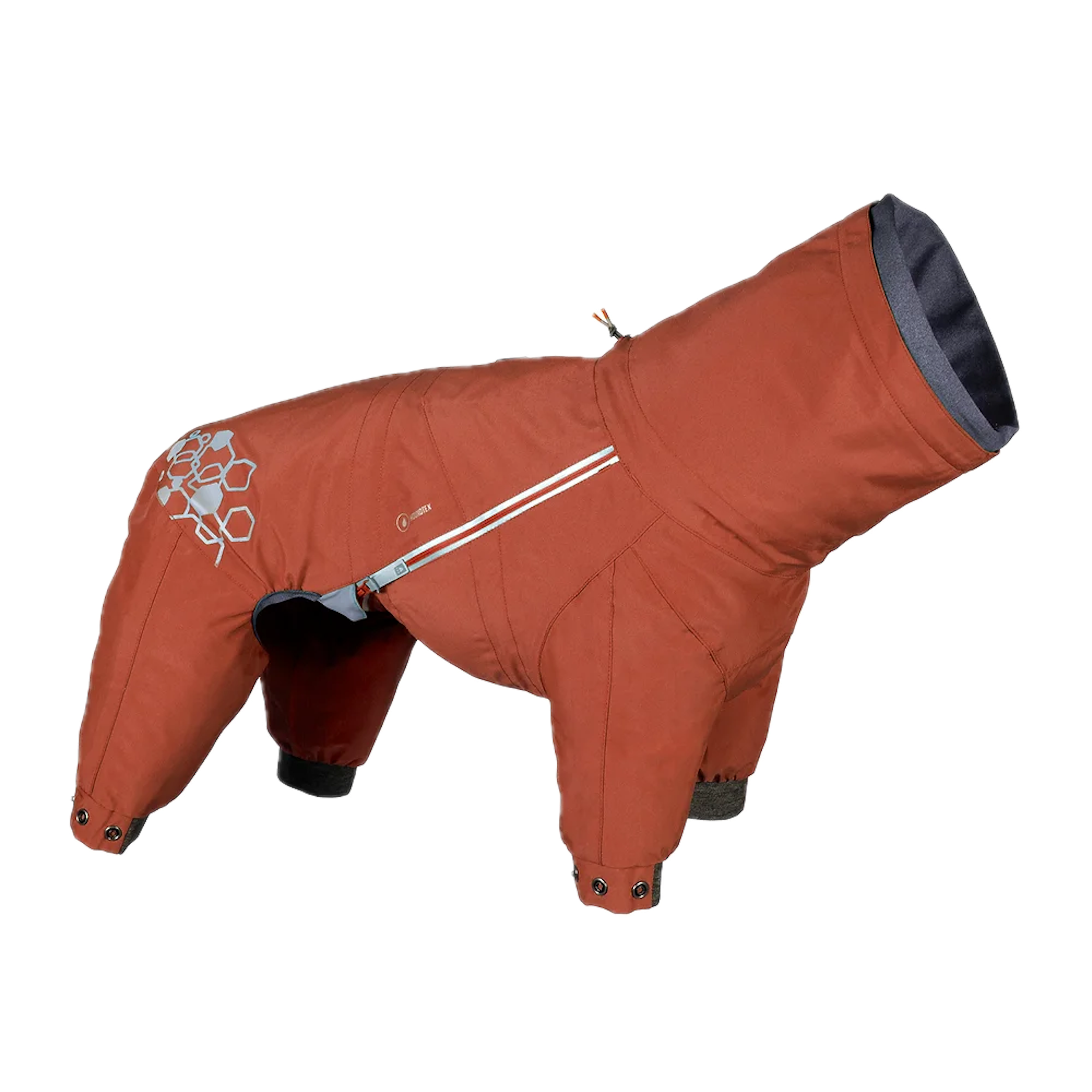 Brown dog coat with gray lining on a white background