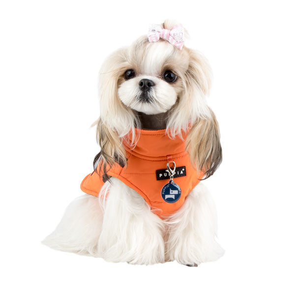 mountaineer-dog-harness-coat