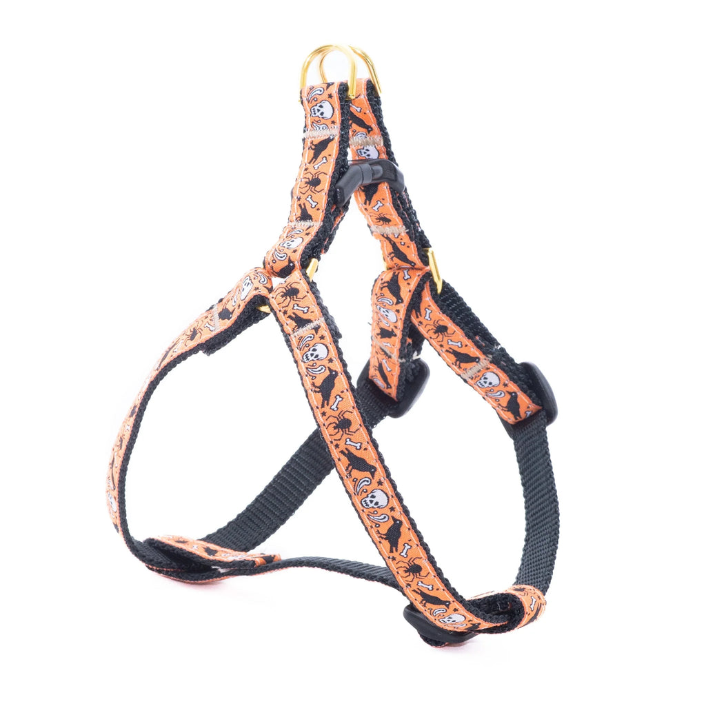 Teacup dog harness sales