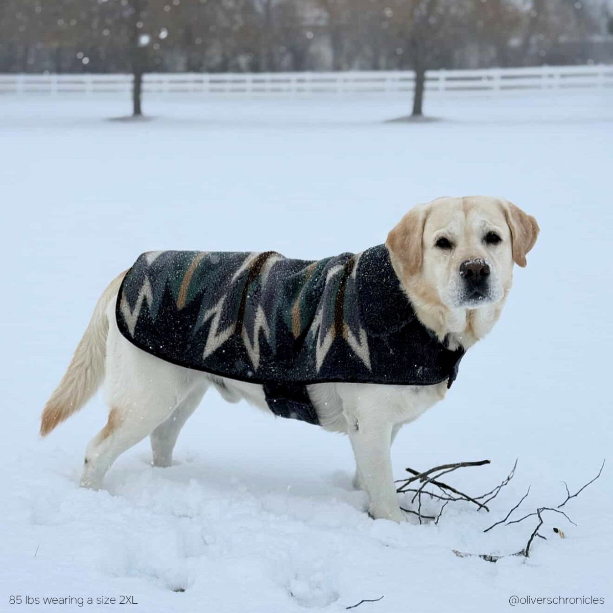 Pendleton Berber Dog Coat in Wyeth Trail Oxford dog coat