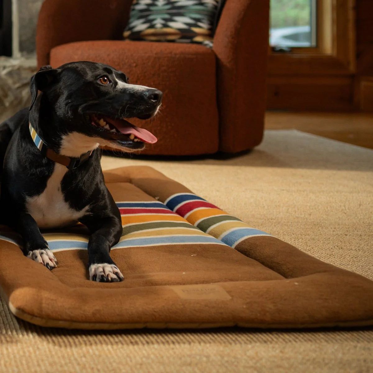 Pendleton Park Comfort Cushion | Joshua Tree