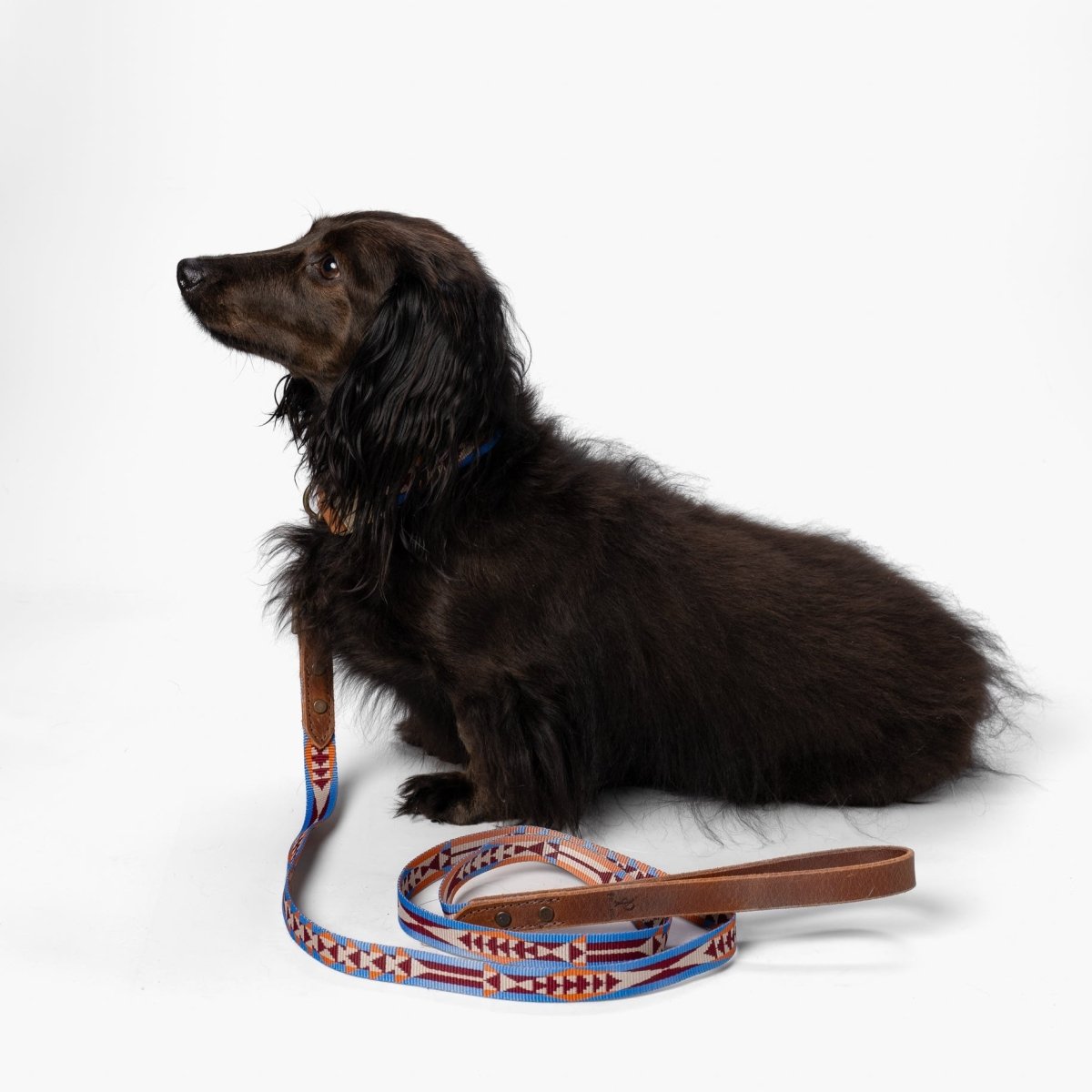 Pendleton Heritage Leash in Mystic Lake dog leash