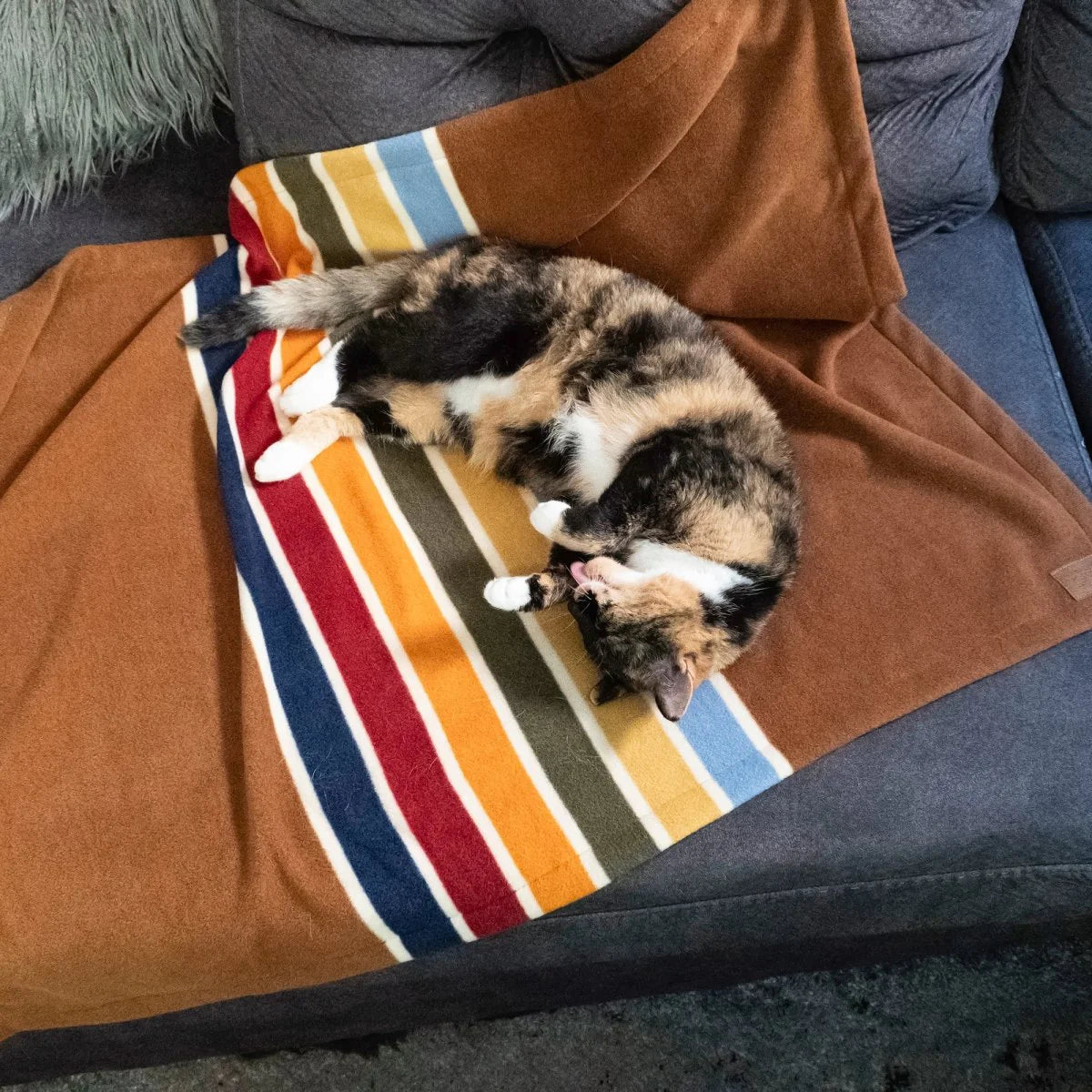 Calico cat lying on a striped blanket on a couch