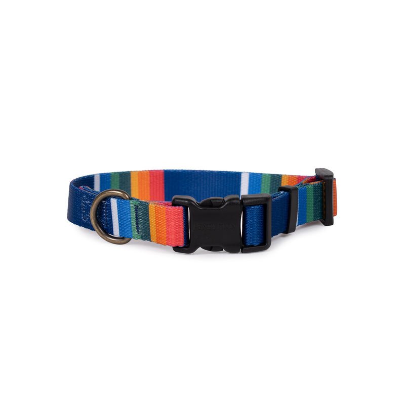 Pendleton National Park Adventure Collar in Crater Lake dog collar