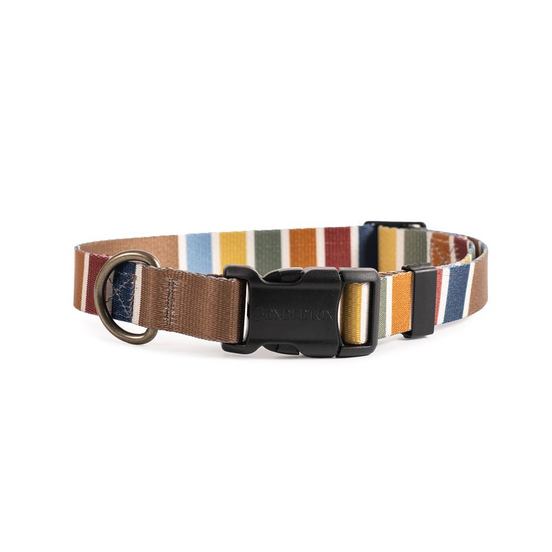 Pendleton National Park Adventure Collar in Joshua Tree dog collar