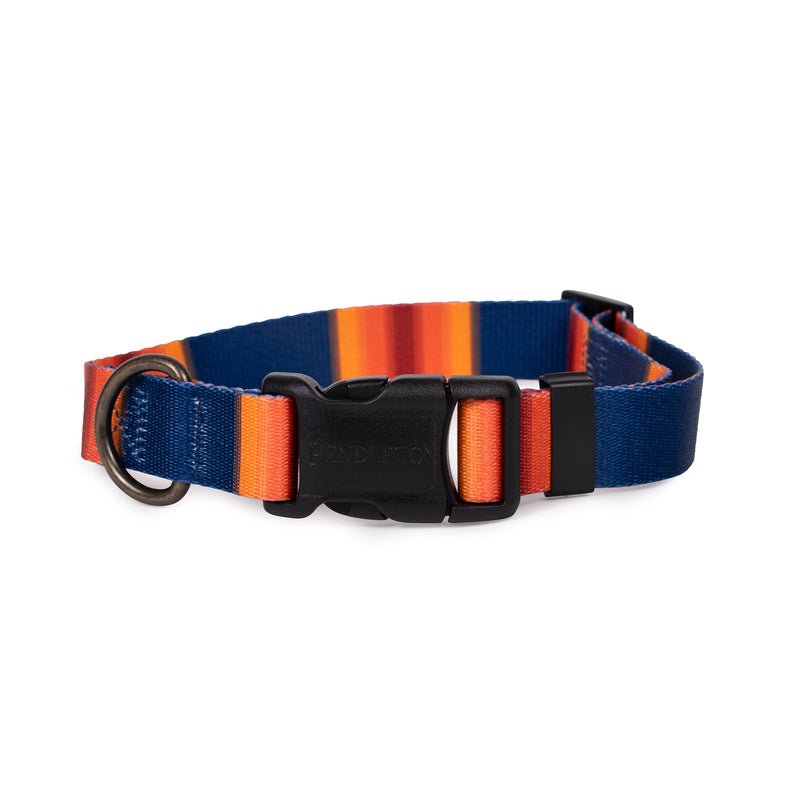 Pendleton National Park Adventure Collar in Grand Canyon dog collar